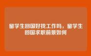 留学生回国好找工作吗，留学生回国求职前景如何