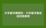 小学留学哪里好，小学留学最佳目的地推荐
