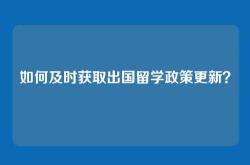 如何及时获取出国留学政策更新？
