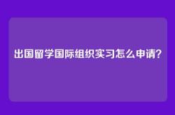 出国留学国际组织实习怎么申请？