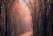 山东长子是哪个城市