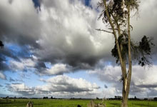 什么时间申请出国留学最好？