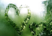 什么时间申请出国留学最好？