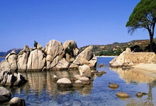 什么时间申请出国留学最好？