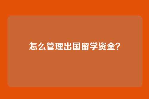 怎么管理出国留学资金？