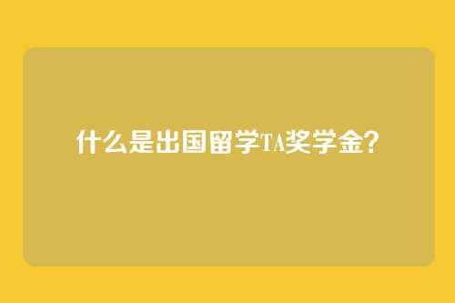 什么是出国留学TA奖学金？