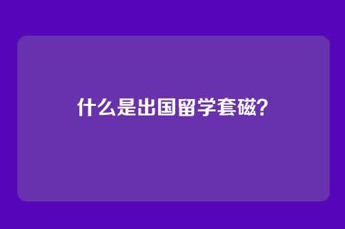 什么是出国留学套磁？