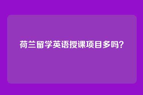 荷兰留学英语授课项目多吗？