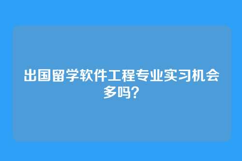 出国留学软件工程专业实习机会多吗？
