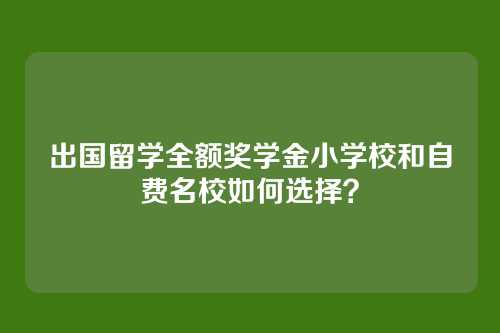出国留学全额奖学金小学校和自费名校如何选择？