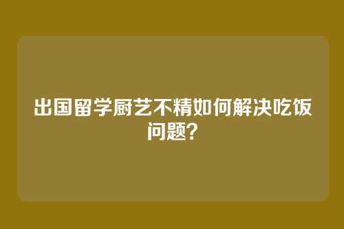 出国留学厨艺不精如何解决吃饭问题？