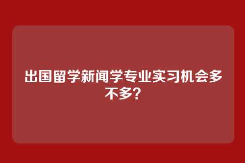 出国留学新闻学专业实习机会多不多？
