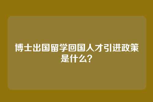 博士出国留学回国人才引进政策是什么？