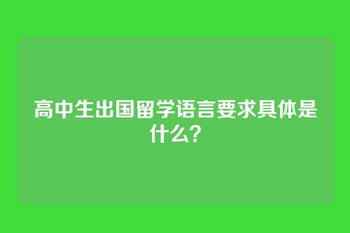 高中生出国留学语言要求具体是什么？