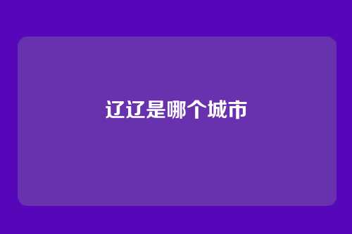 辽辽是哪个城市