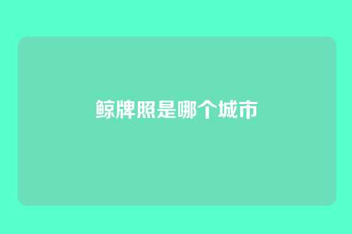 鲸牌照是哪个城市