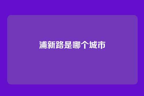 浦新路是哪个城市