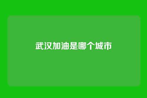武汉加油是哪个城市