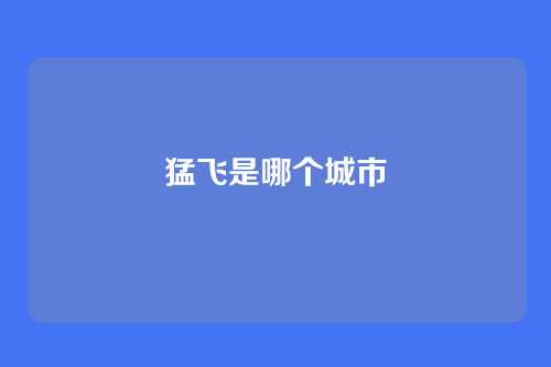 猛飞是哪个城市