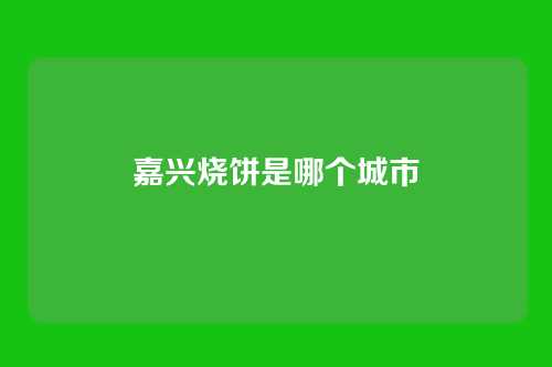 嘉兴烧饼是哪个城市