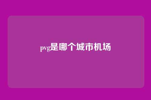 pvg是哪个城市机场