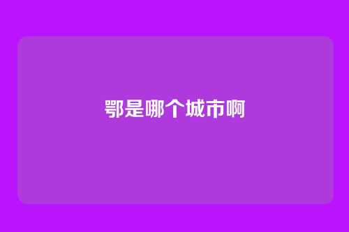 鄂是哪个城市啊