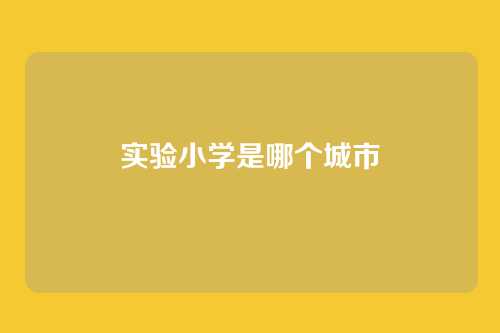 实验小学是哪个城市