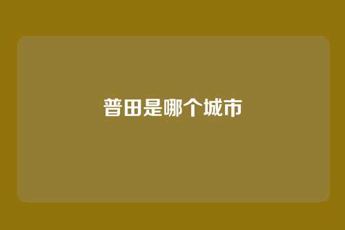 普田是哪个城市