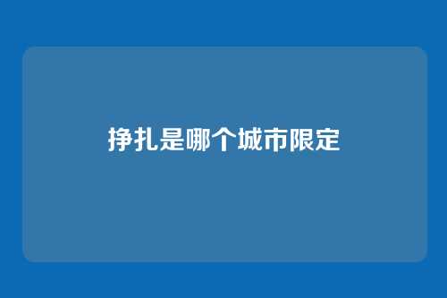 挣扎是哪个城市限定