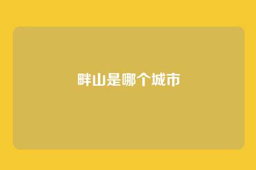 畔山是哪个城市