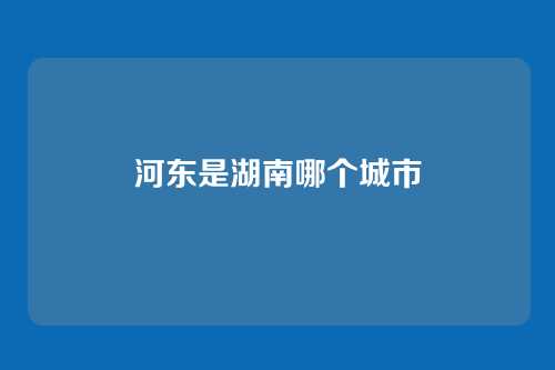 河东是湖南哪个城市