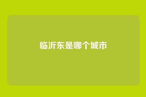 临沂东是哪个城市
