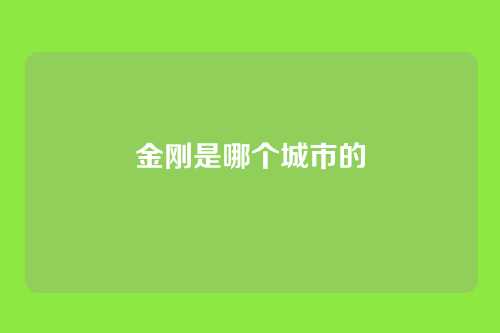 金刚是哪个城市的