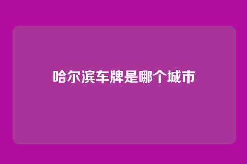 哈尔滨车牌是哪个城市