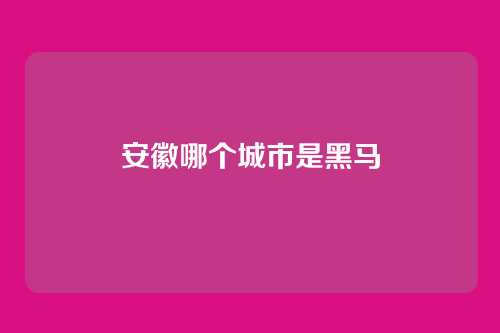 安徽哪个城市是黑马
