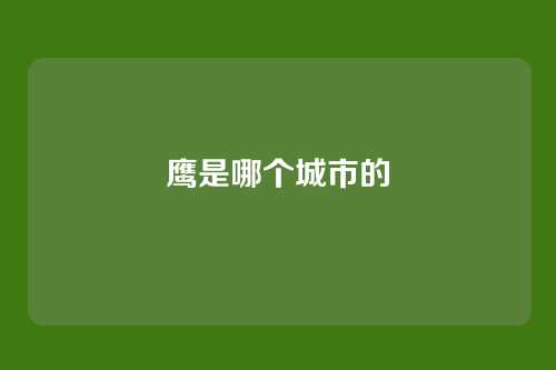 鹰是哪个城市的