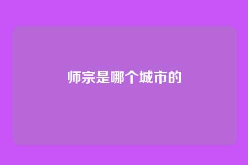 师宗是哪个城市的