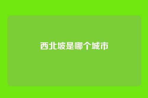 西北坡是哪个城市