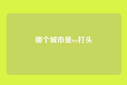 哪个城市是ws打头