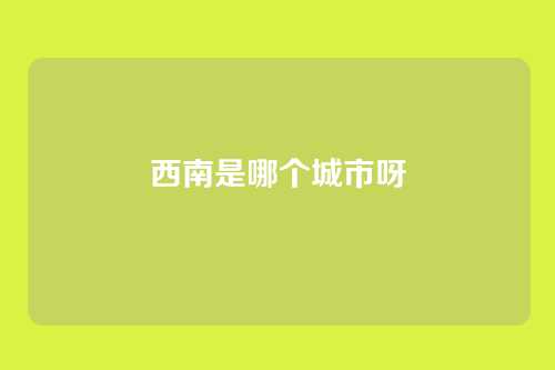 西南是哪个城市呀