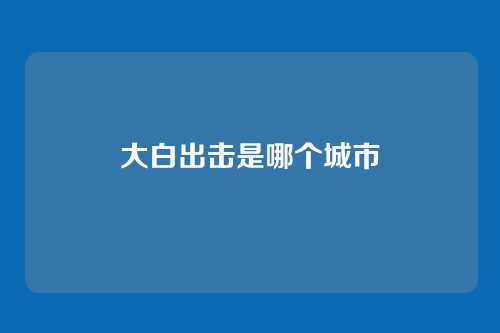 大白出击是哪个城市