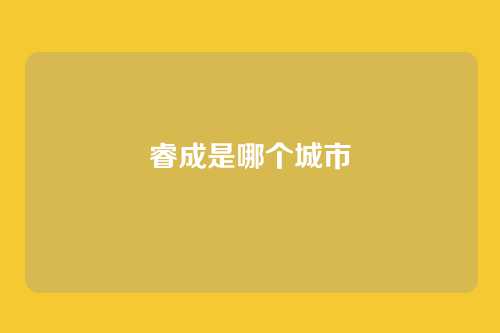 睿成是哪个城市