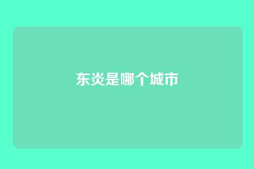东炎是哪个城市
