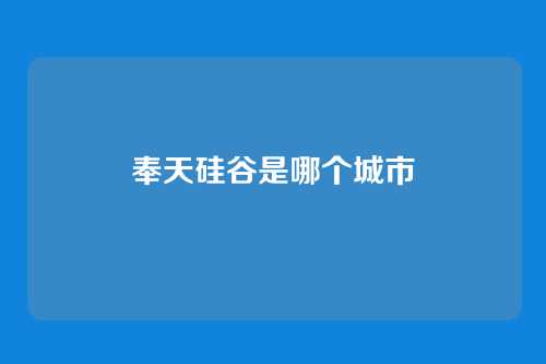 奉天硅谷是哪个城市