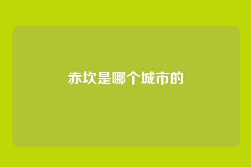 赤坎是哪个城市的