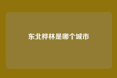 东北桦林是哪个城市