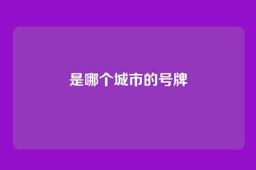 是哪个城市的号牌