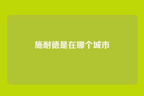 施耐德是在哪个城市