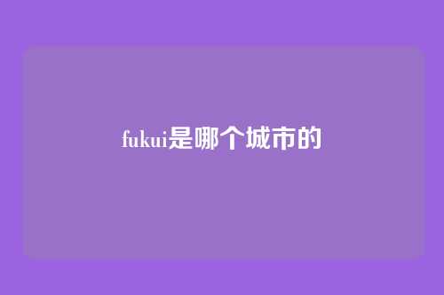 fukui是哪个城市的