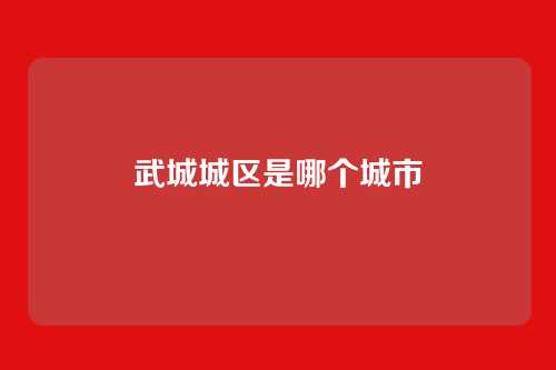武城城区是哪个城市